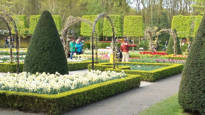 2014-04-17 Holland Tulips 09.jpg